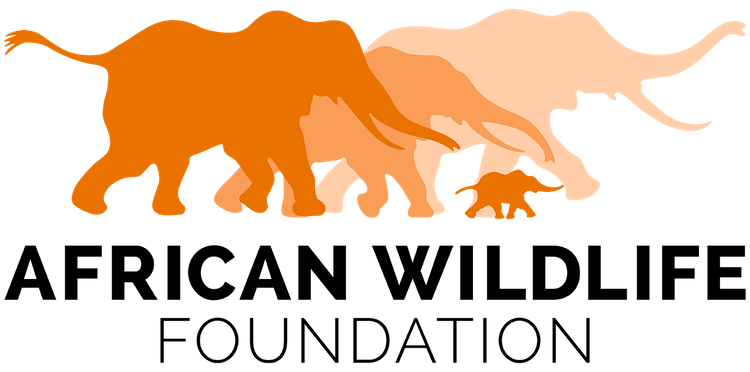 The African Wildlife Foundation's nonprofit logo features a bold design with orange elephants.