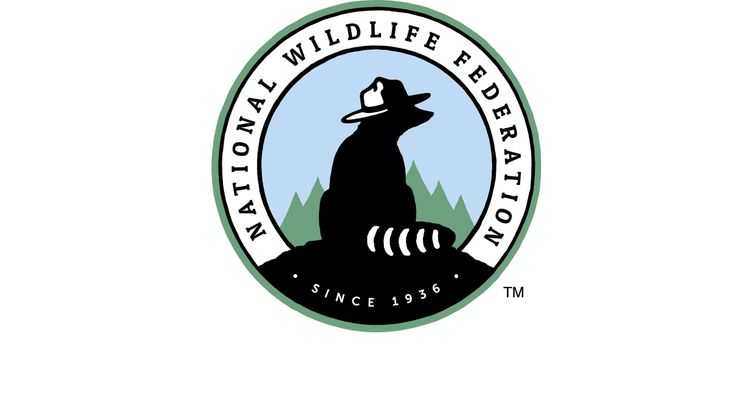 In this nonprofit logo, National Wildlife Federation uses a circular design with an image of a raccoon in a forest.
