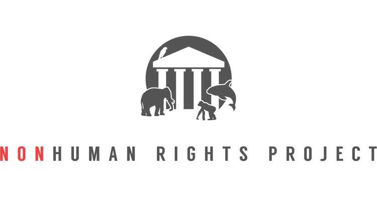 This nonprofit logo for the Nonhuman Rights Project includes graphics of a animals and the organization's name in gray and red letters.