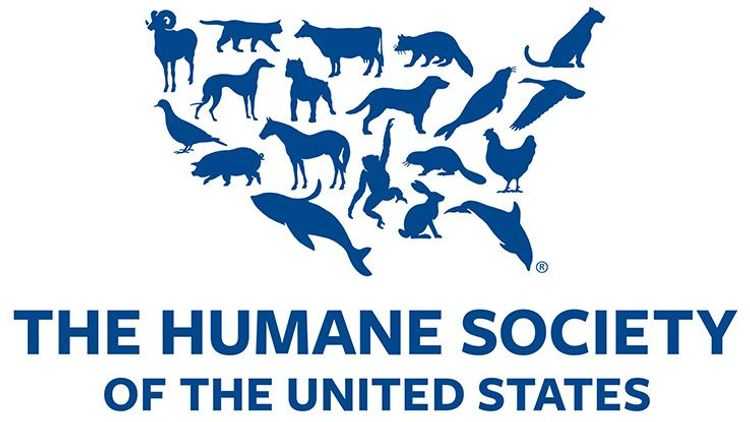 The Humane Society designed their nonprofit logo to include different animals in the shape of the United States.