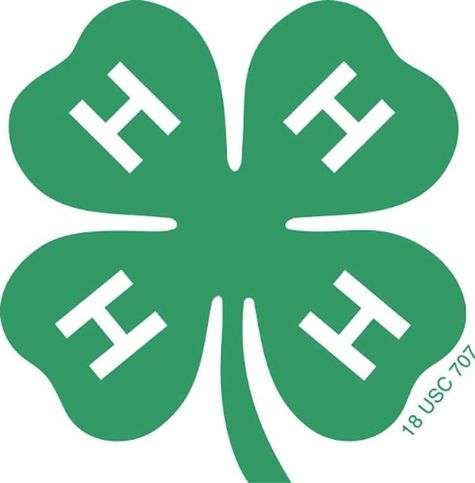 4-H's nonprofit logo design includes a green four leaf clover with an H on each clover.