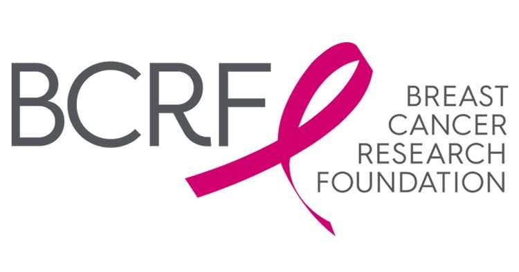 This nonprofit logo includes the Breast Cancer Research Foundation's name alongside the well-known breast cancer ribbon.