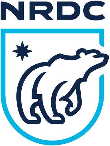 The Natural Resources Defense Council designed their nonprofit logo to include their acronym above a graphic of a polar bear.