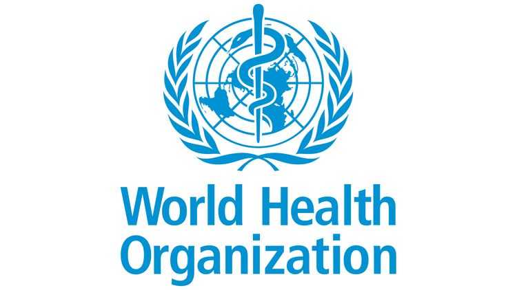 The World Health Organization includes a few graphics in its nonprofit logo, including a globe and olive branches.